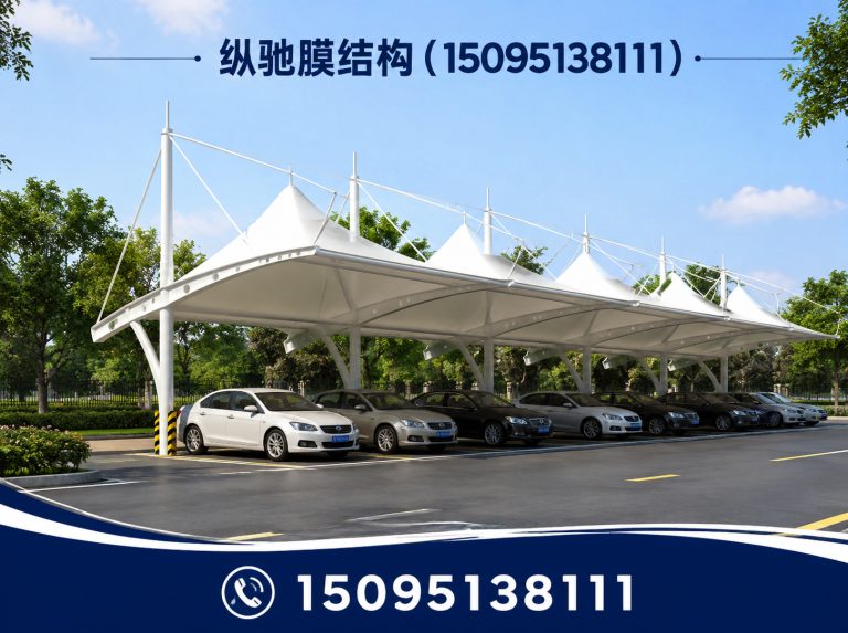安丘市膜结构停车棚展示图